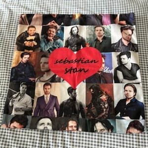 17in X 17 in Sebastian Stan pillow case.